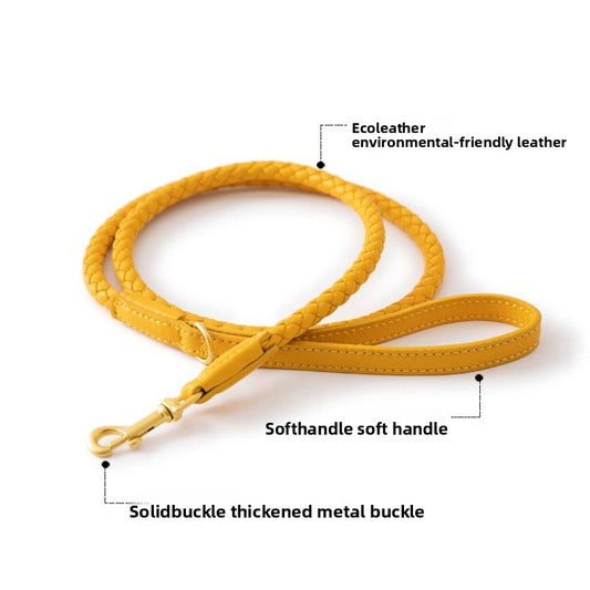 Woven Leather Dog Collar and Leash Set