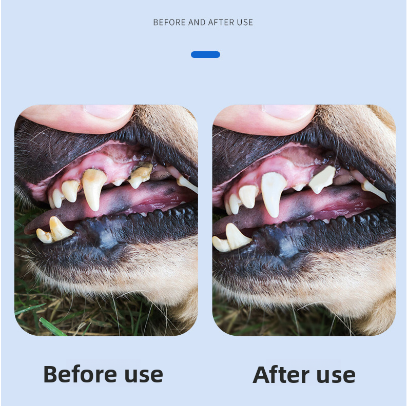 pet oral spray