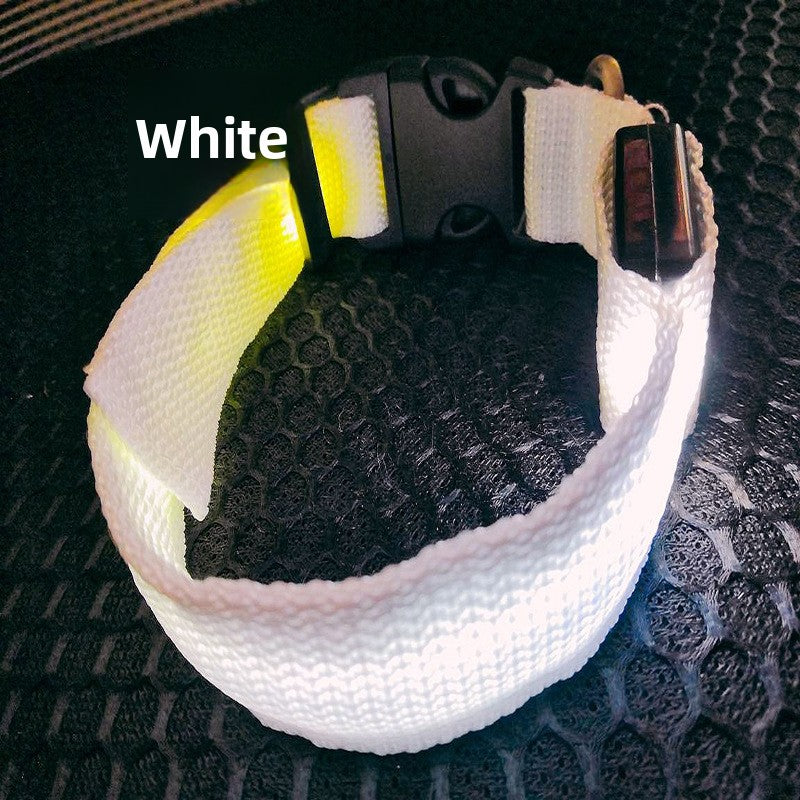 USB Rechargeable LED Pet Safety Collar with Adjustable Sizing