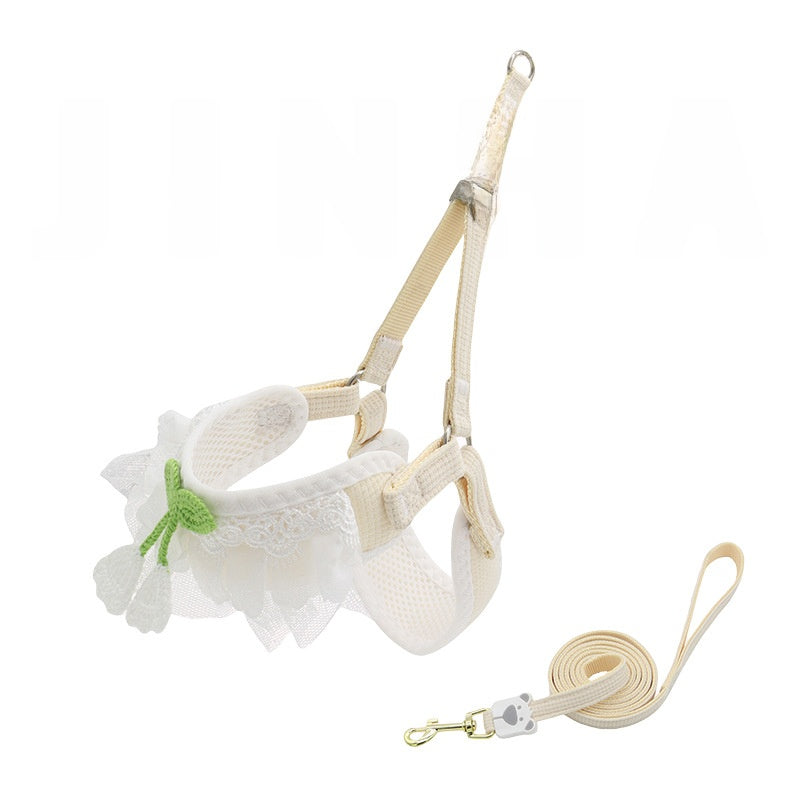 Dog leash for small dogs