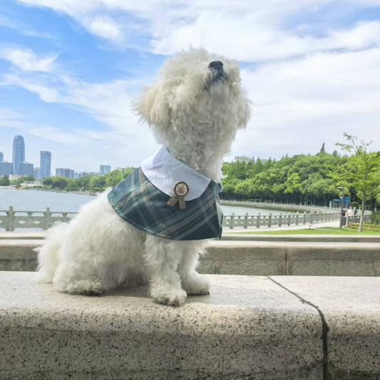 Velcro British checkered pet cape