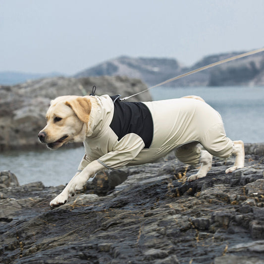 Pet dog raincoats and windbreakers