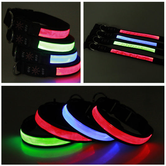 Pet Collar with Multiple Light Modes