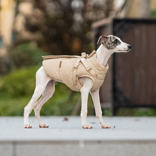 Pet winter jacket