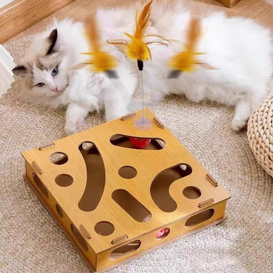 cat maze toy