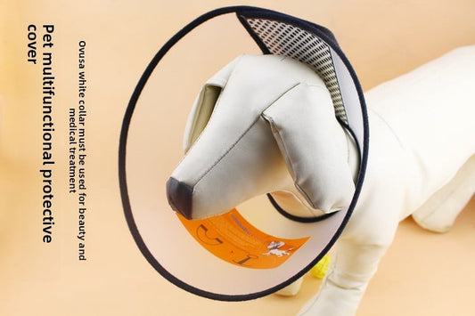 Pet cats and dogs Elizabeth collar