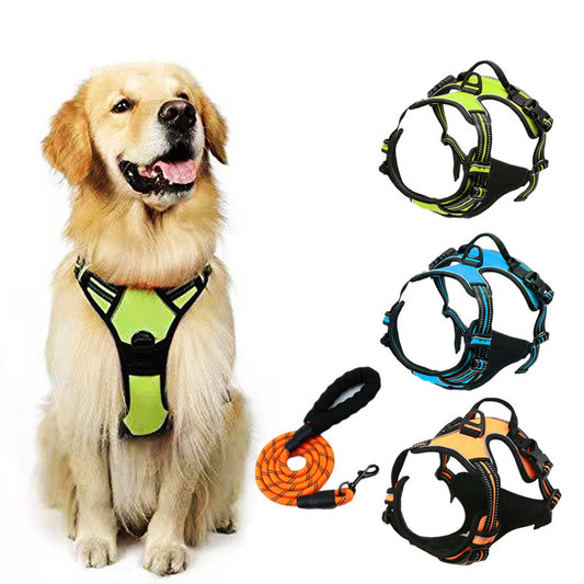 Pet Harness Leash
