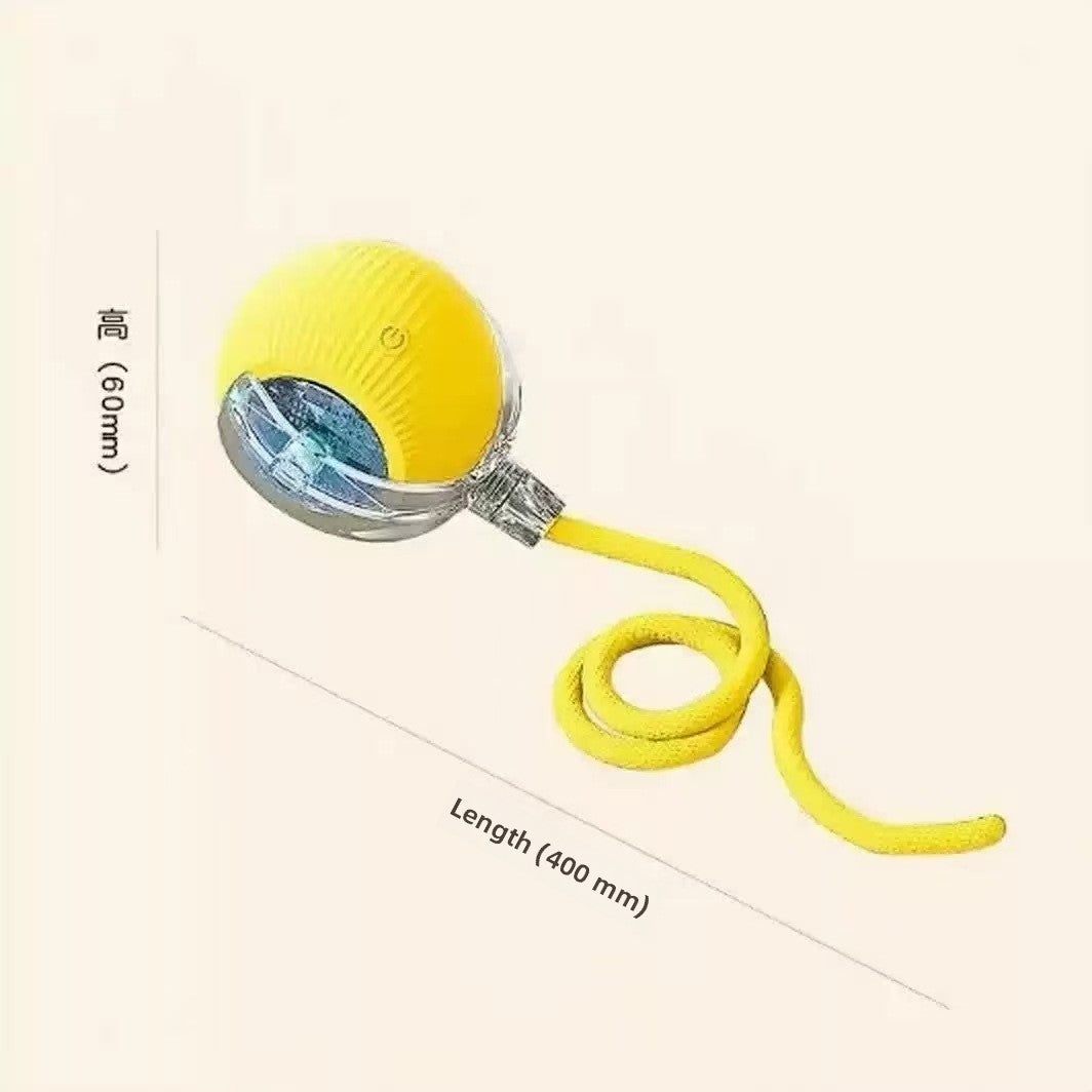 Dog Toy Automatic Walking Ball