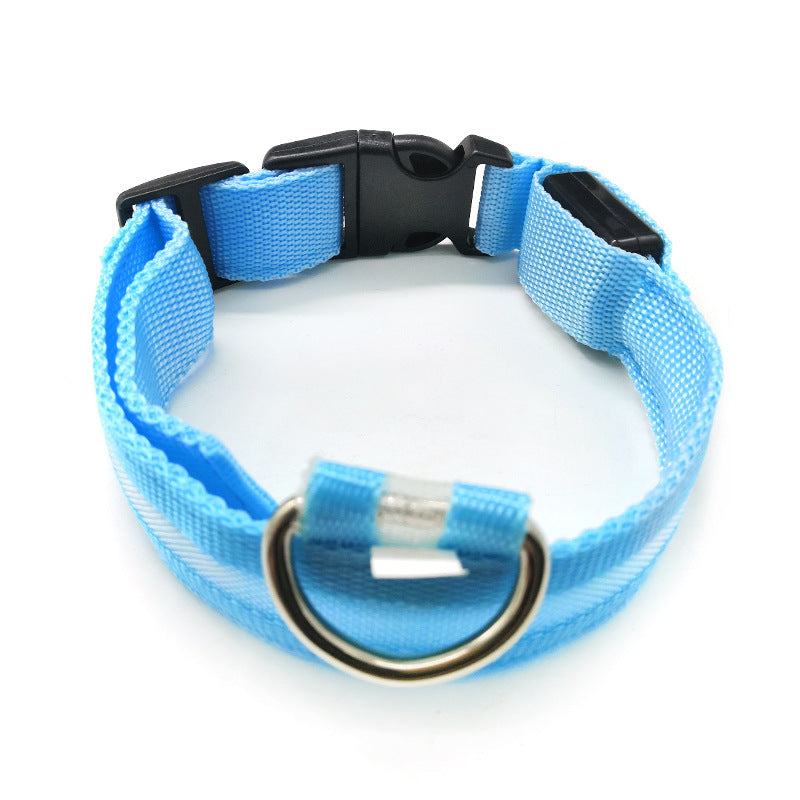 LED light-up collar