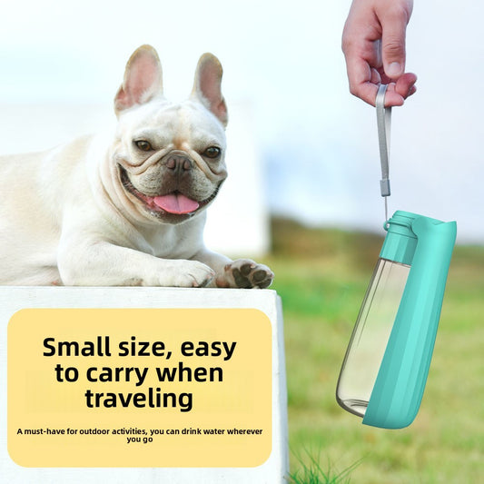 Pet travel companion cup