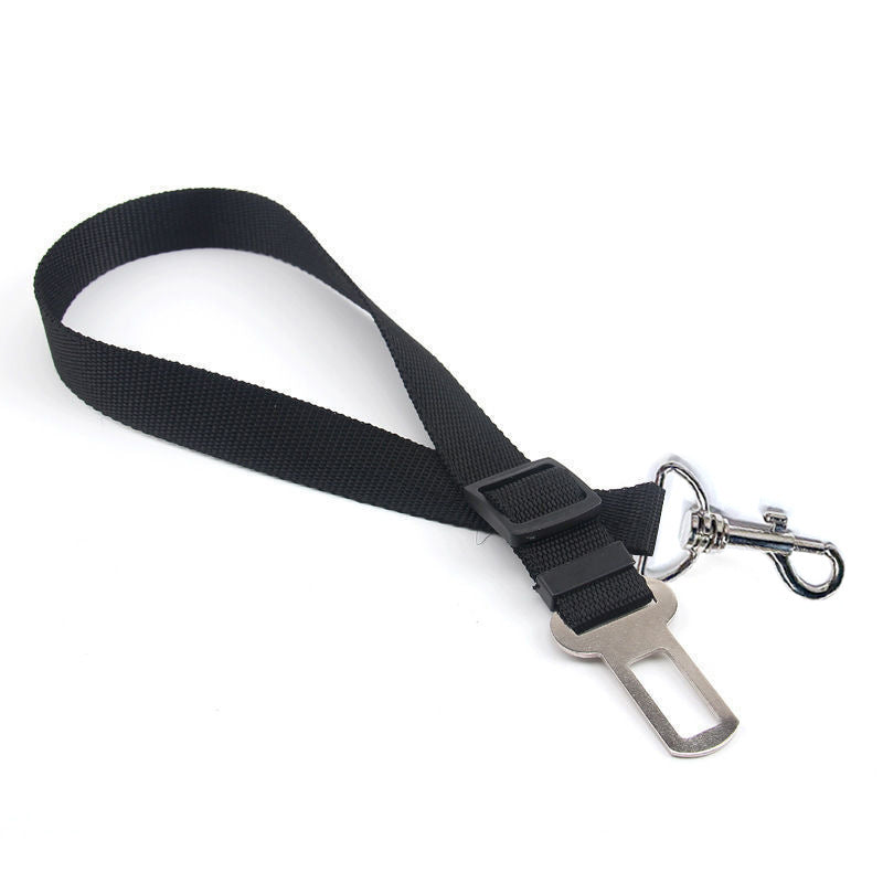 Pet safety belt