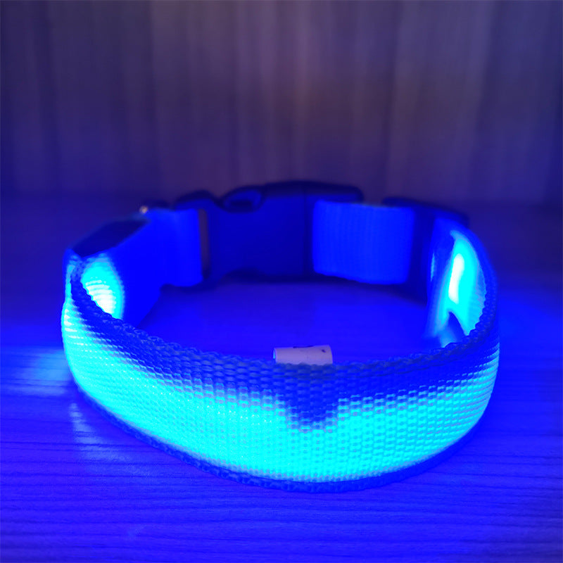 USB Rechargeable LED Pet Safety Collar with Adjustable Sizing
