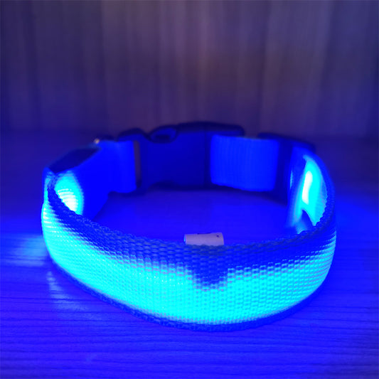 USB Rechargeable LED Pet Safety Collar with Adjustable Sizing