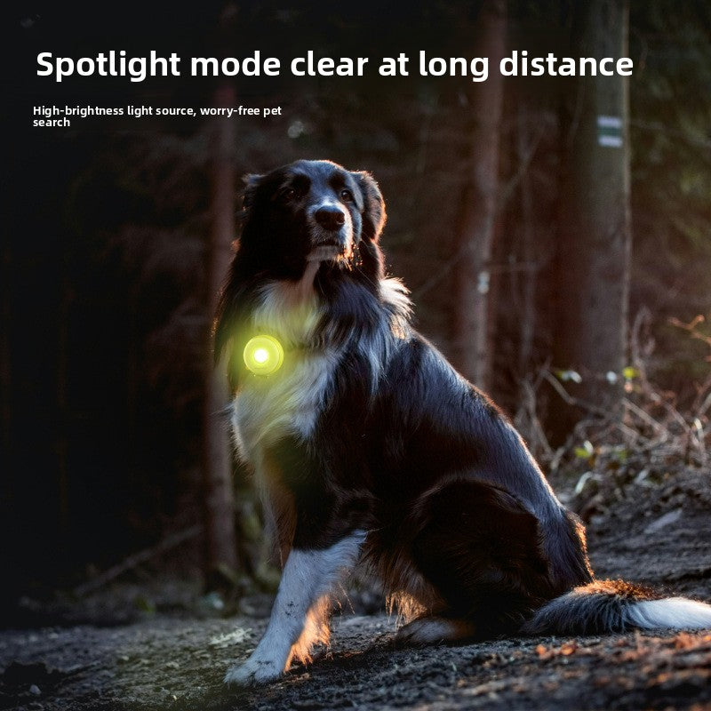 Pet Safety Light
