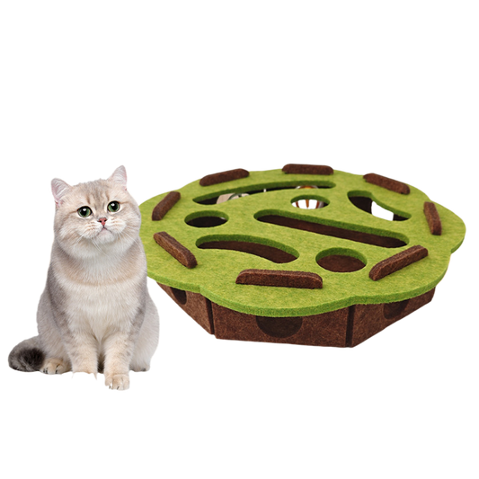 Cat Toy
