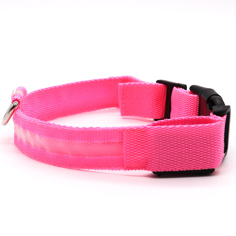 pet led collar