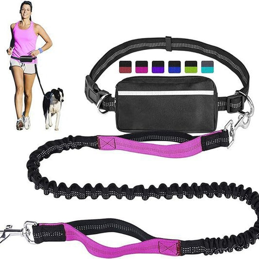 Pet running leash exercise waist bag set