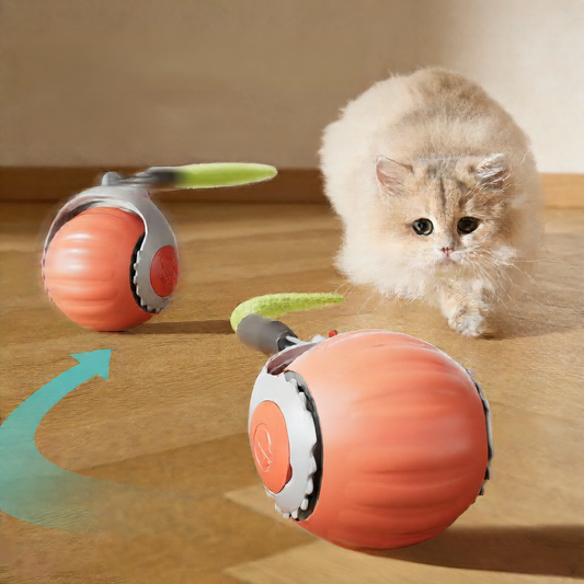 Automatic Cat Toy Ball