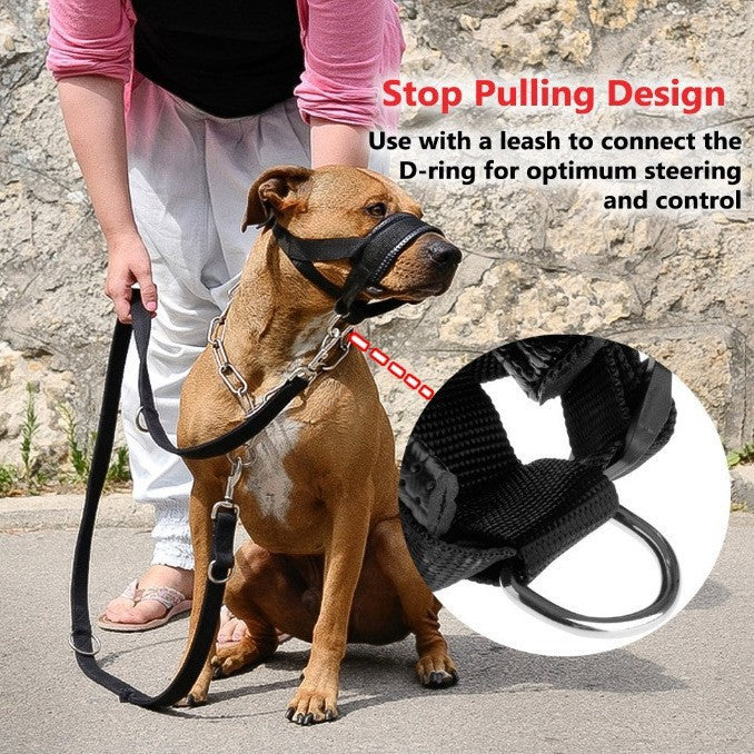 Anti-barking and anti-accidental ingestion dog masks