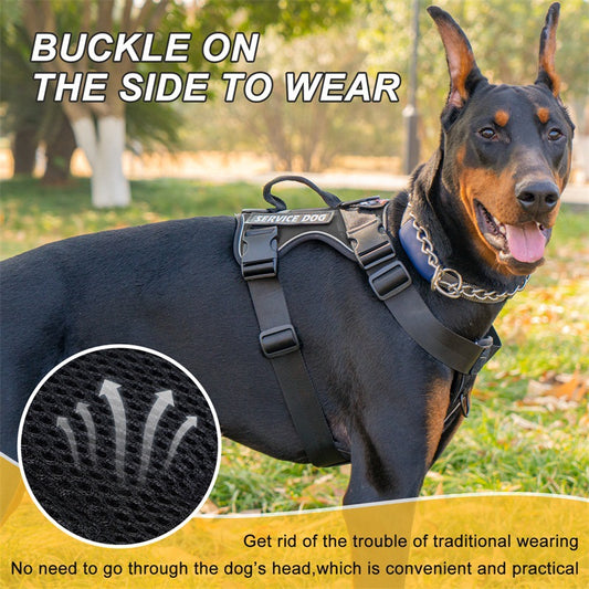 Pet harness leash