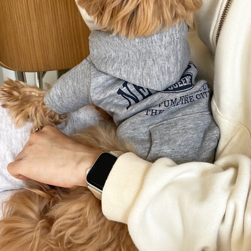 Fleece-Lined Pet Sweatshirt for Small Dogs and Cats