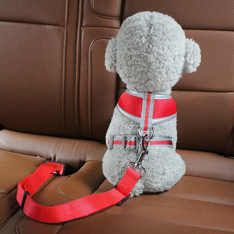 Retractable dog seat belt