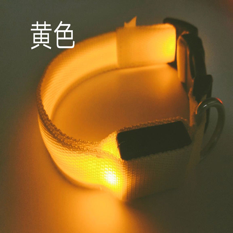 USB Rechargeable LED Pet Safety Collar with Adjustable Sizing