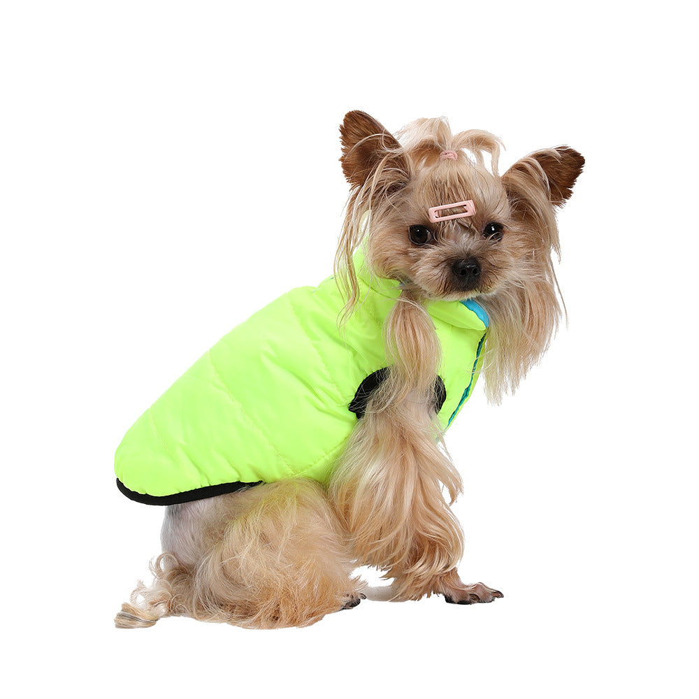 Dog winter coat for warmth and cold protection