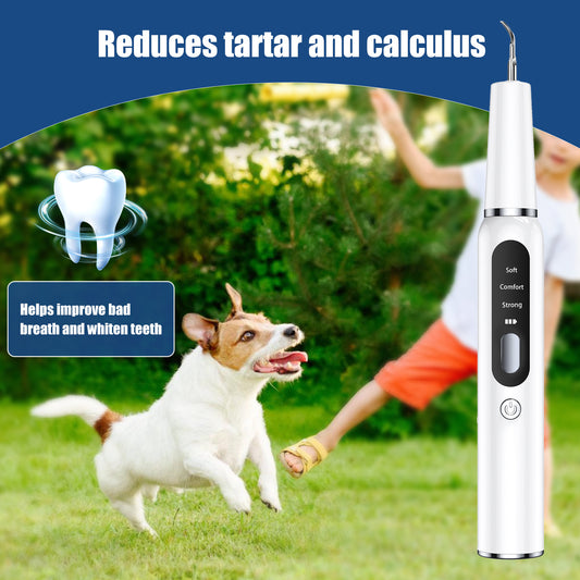 Pet ultrasonic dental scaler