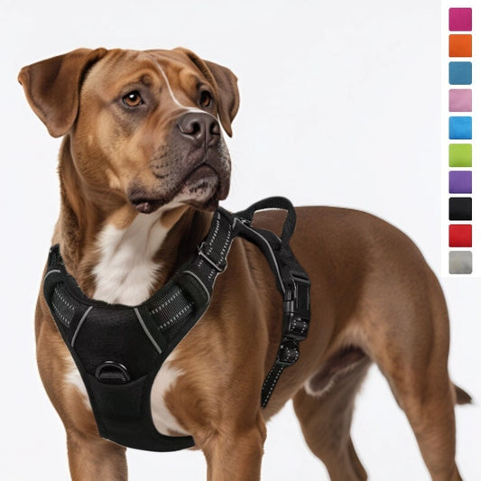 Adjustable Dog Leash and Chest Strap