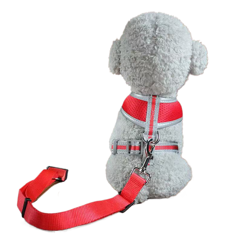 Retractable dog seat belt