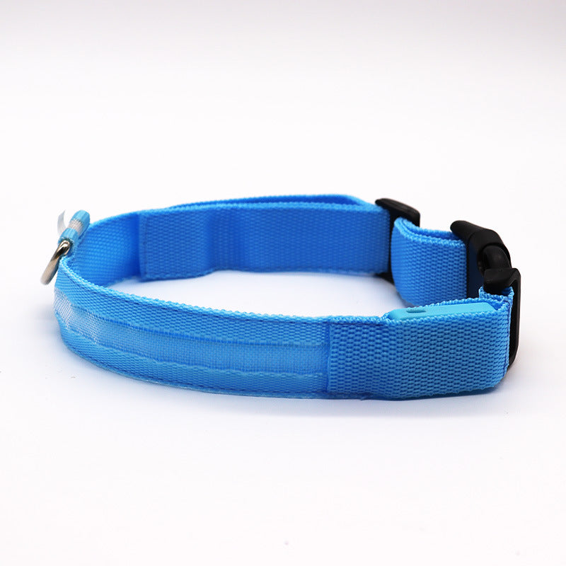 pet led collar