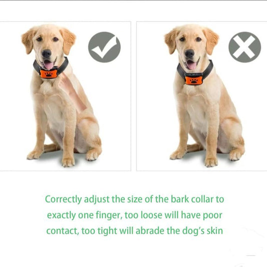 Dog Barking Collar