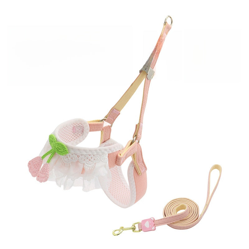 Dog leash for small dogs