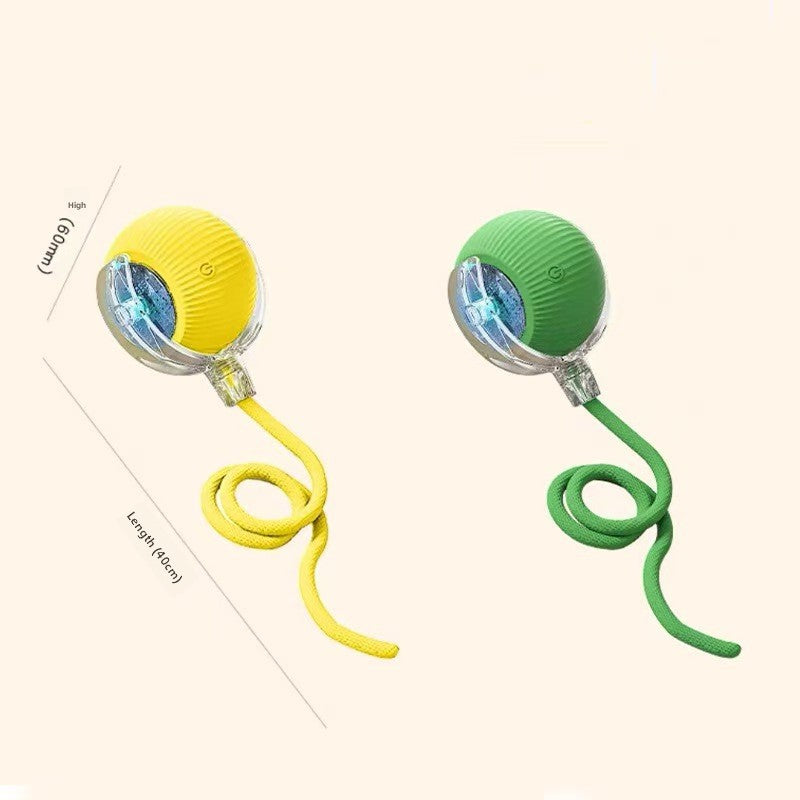 Dog Toy Automatic Walking Ball
