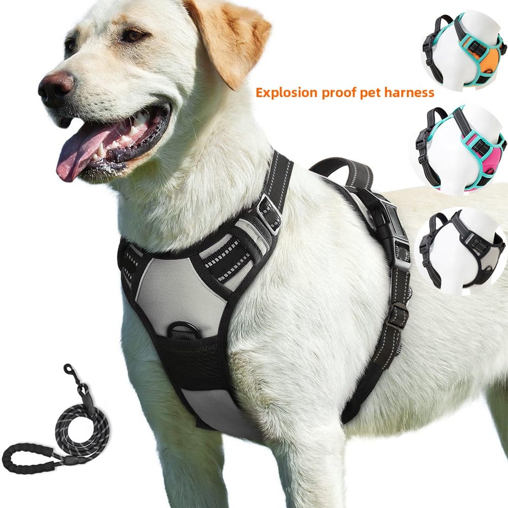 Dog outdoor vest