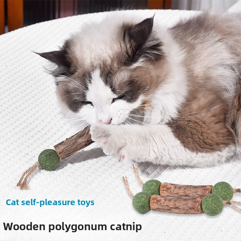 Catnip Silver Vine Chew Toy with Hemp Rope