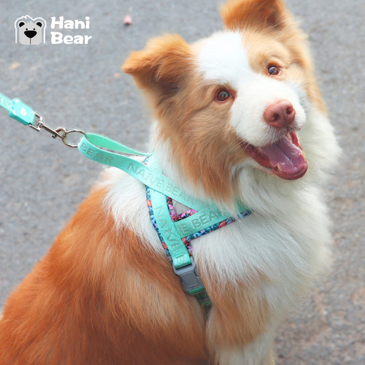 Pet dog harness