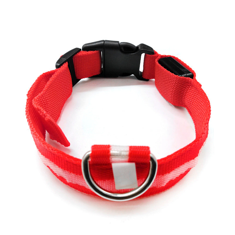 LED light-up collar