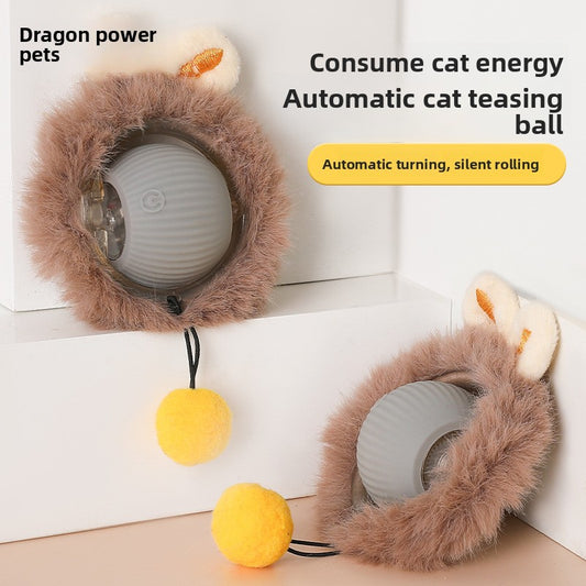 Electric Pet Toy