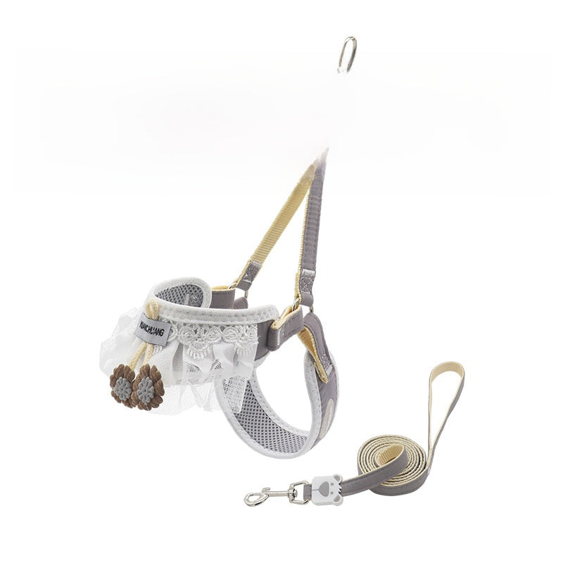 Dog leash for small dogs