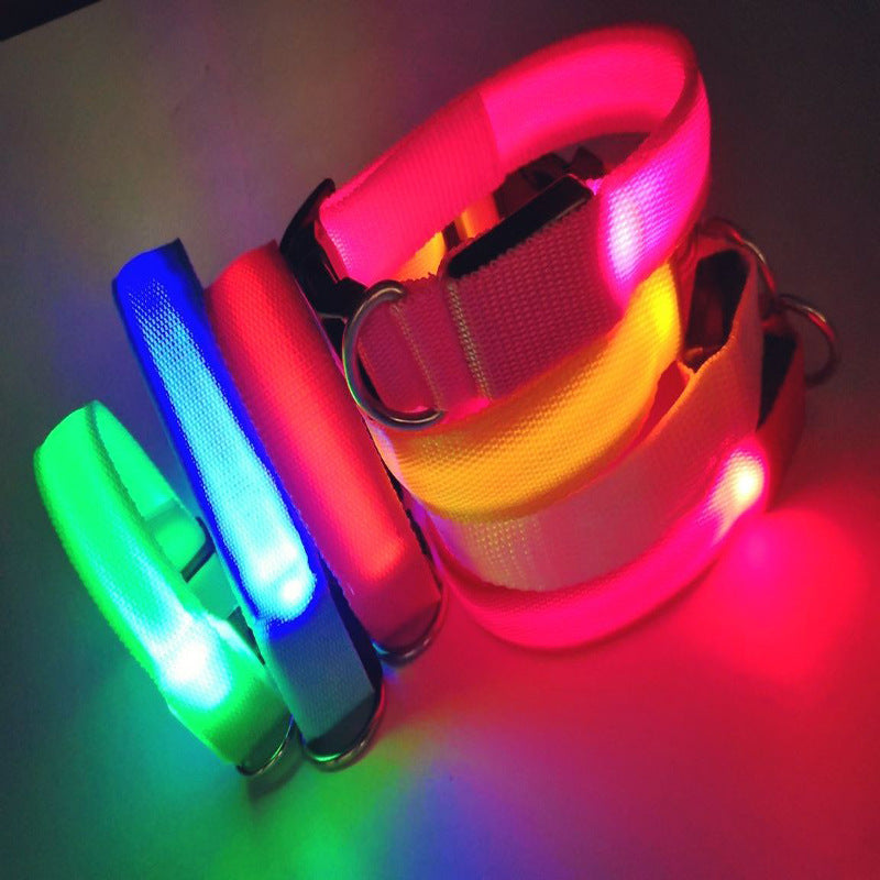 USB Rechargeable LED Pet Safety Collar with Adjustable Sizing