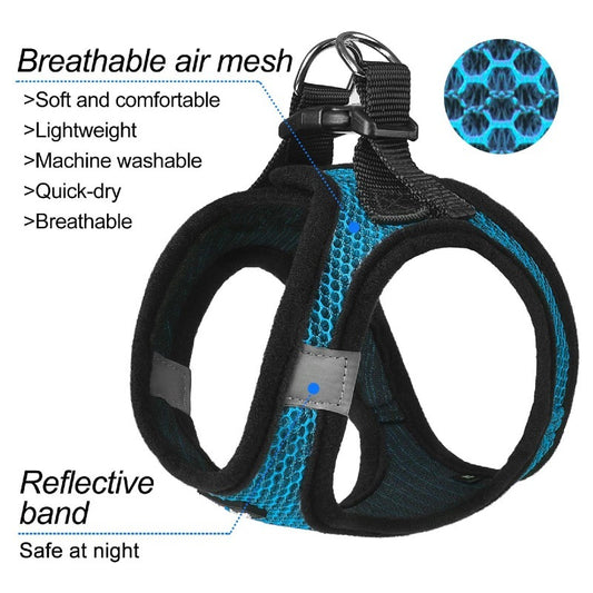 Pet chest and back leash