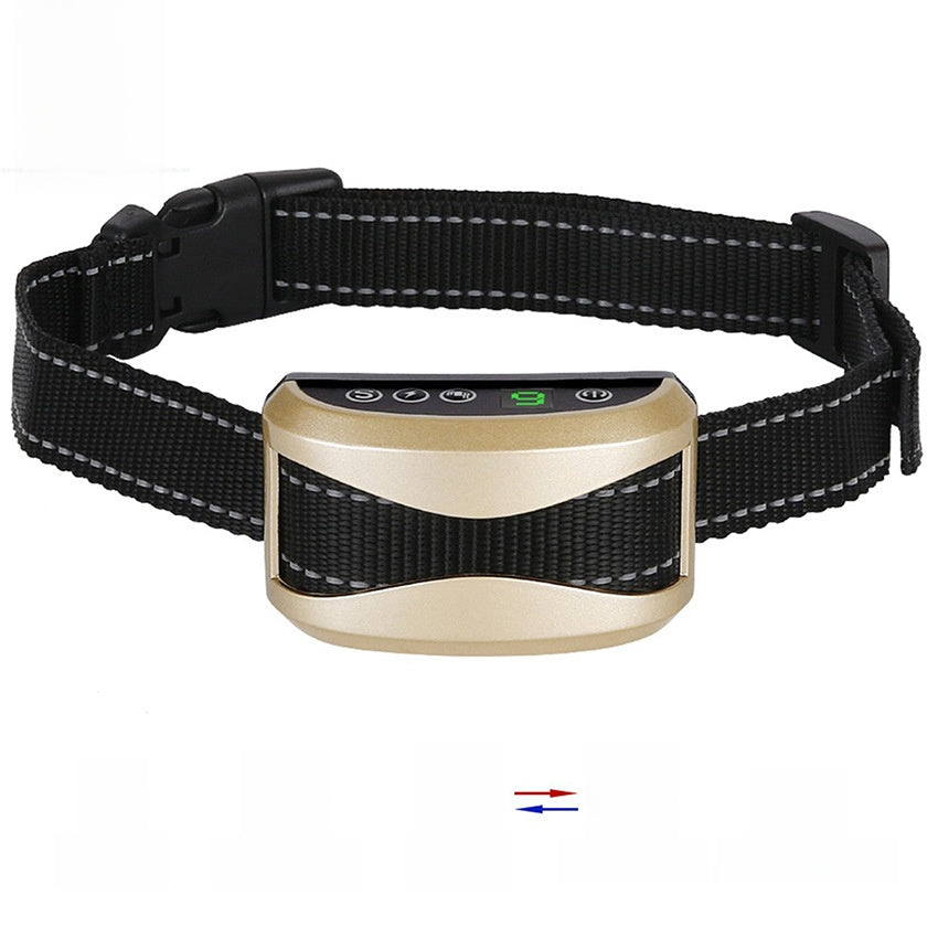 dog training collar