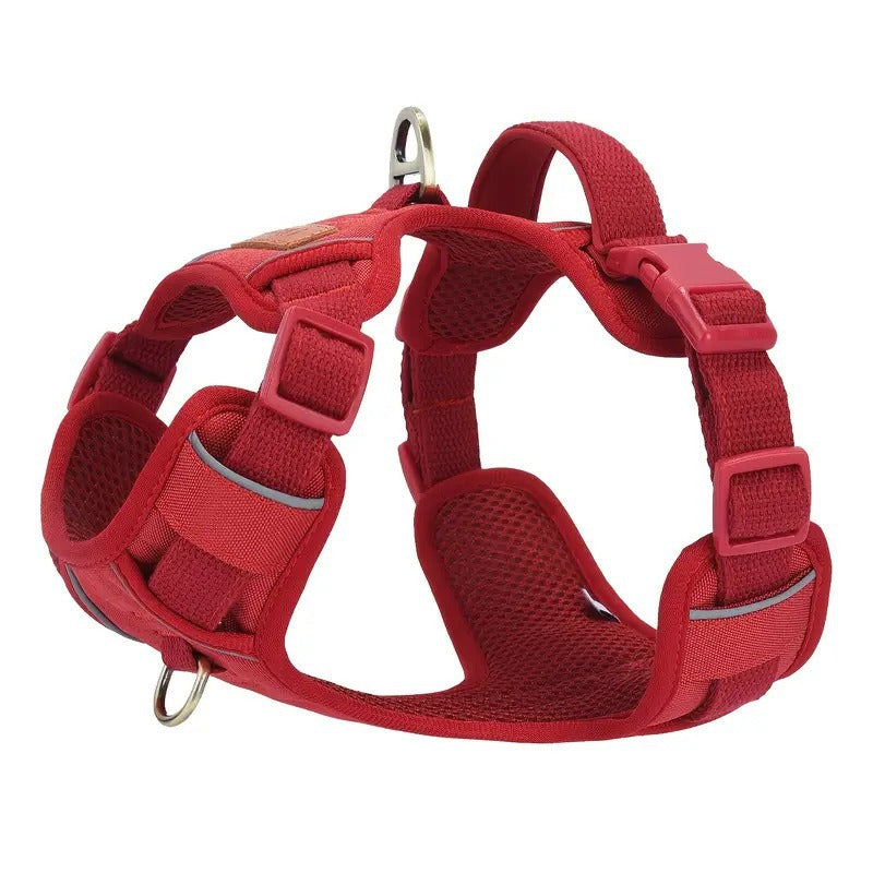 Pet chest and back harness