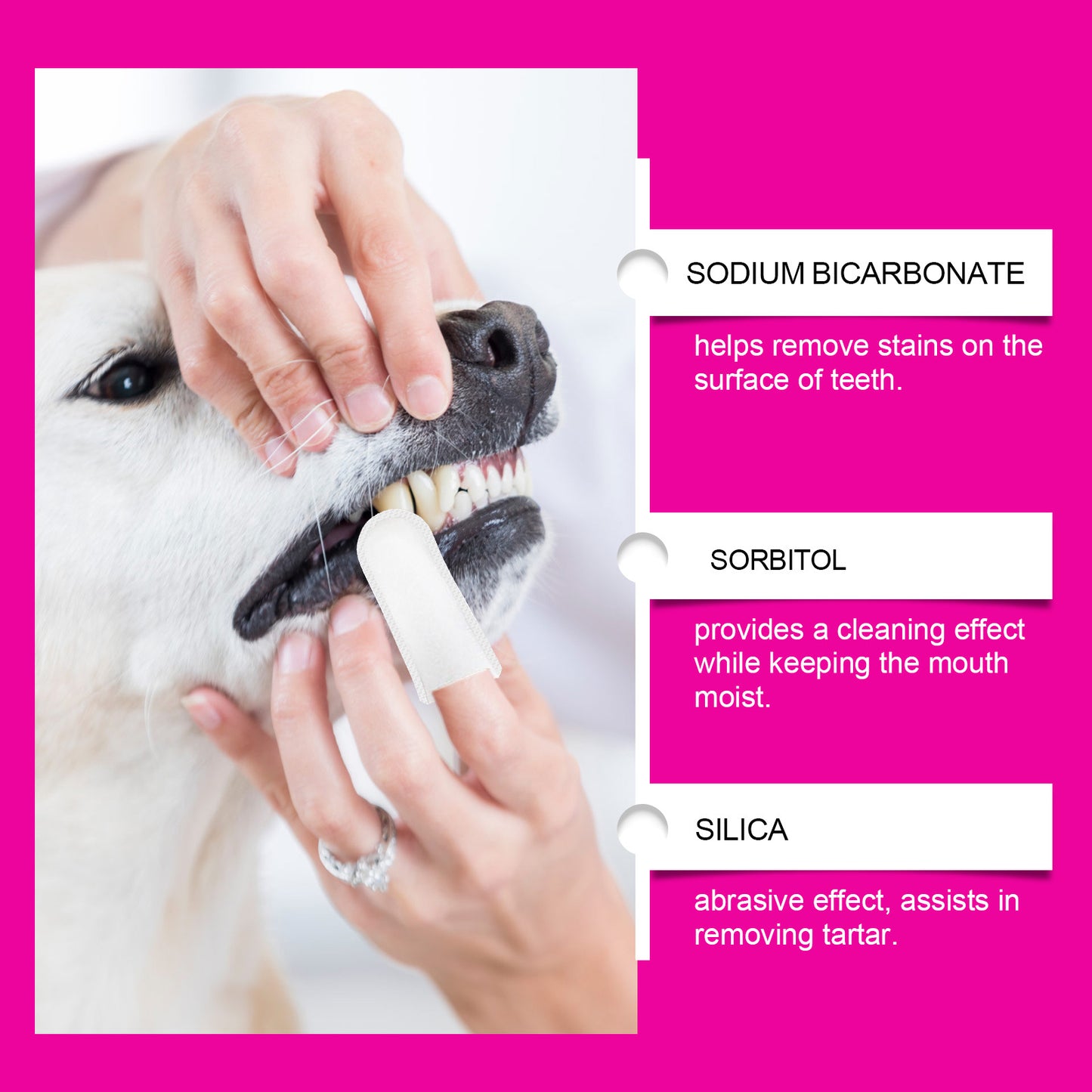 Pet Teeth Cleaning Finger Set