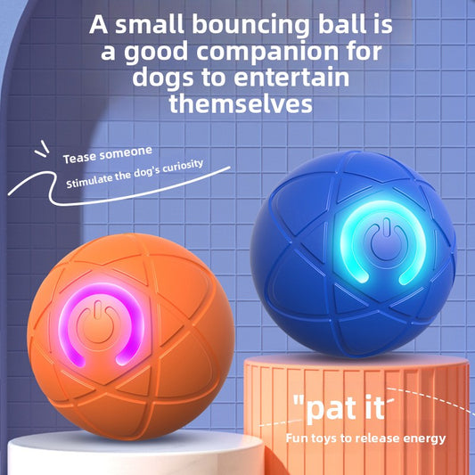 Smart Dog Gravitational Ball