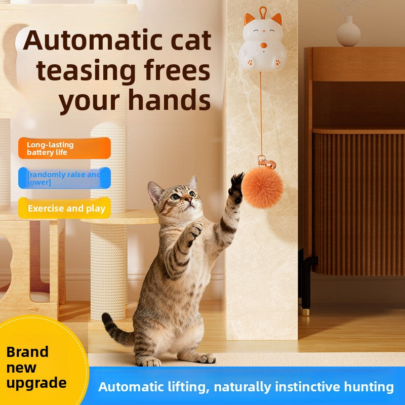Automatic Pet Toy