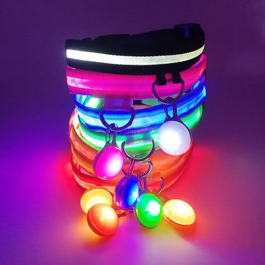 LED light-up collar