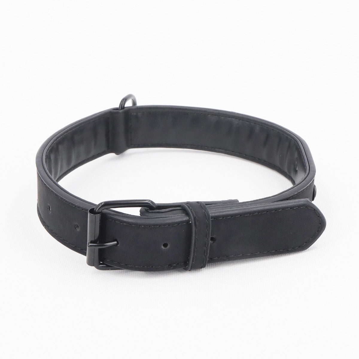 Frosted Anti-Lost Dog Collar